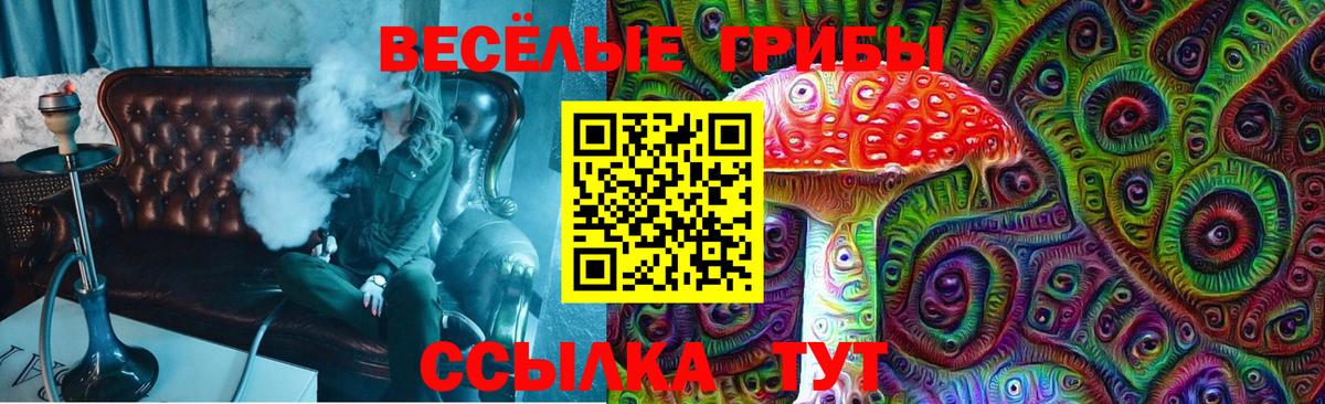 Псилоцибиновые грибы Psilocybine cubensis  Псилоцибиновые грибы Psilocybine cubensis  Вход с VPN  Малоярославец 